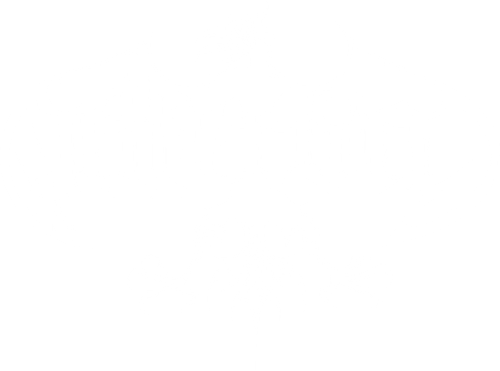 Netherbird logo